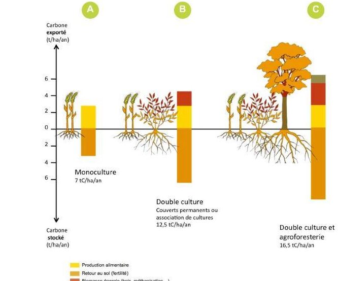 Intercalare Esempi: 5 Strategie Efficaci per Arricchire il Tuo Contenuto