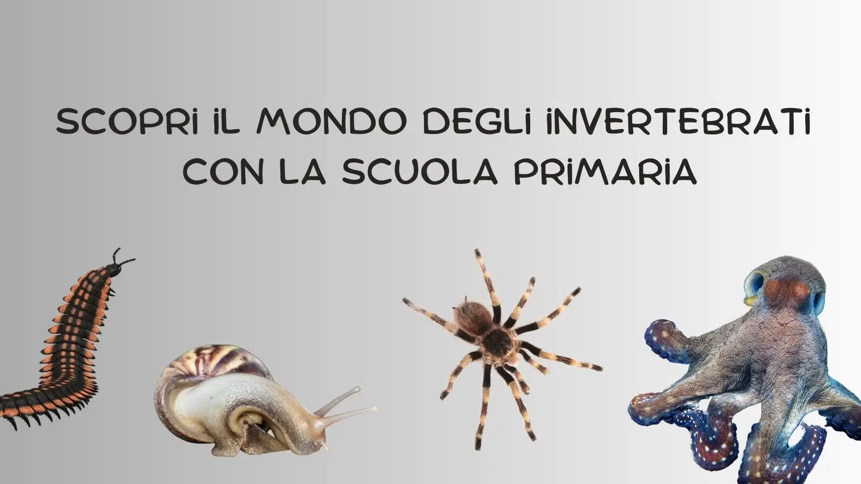 Esempi di Artropodi: Scopri le Specie più Affascinanti!