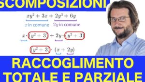 Esempi Raccoglimento Parziale: La Guida Completa per Principianti