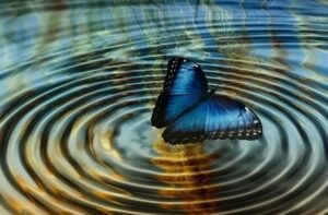 Effetto Farfalla Esempi: Come un Piccolo Cambiamento Può Portare a Grandi Conseguenze