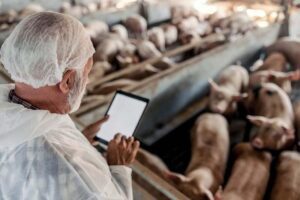 Scopri i Segreti degli Onnivori: Esempi e Approfondimenti Esclusivi!