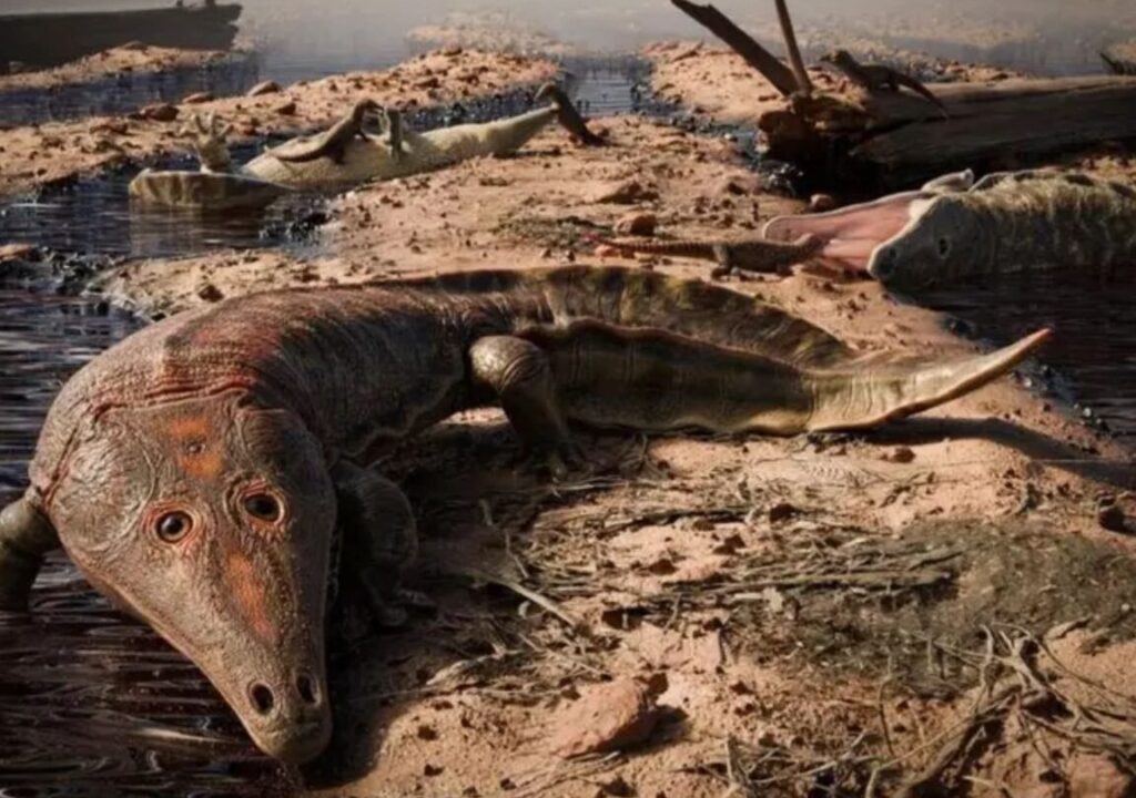 Anfibi Animali Esempi: Scopri Le Meraviglie Del Mondo Anfibio!