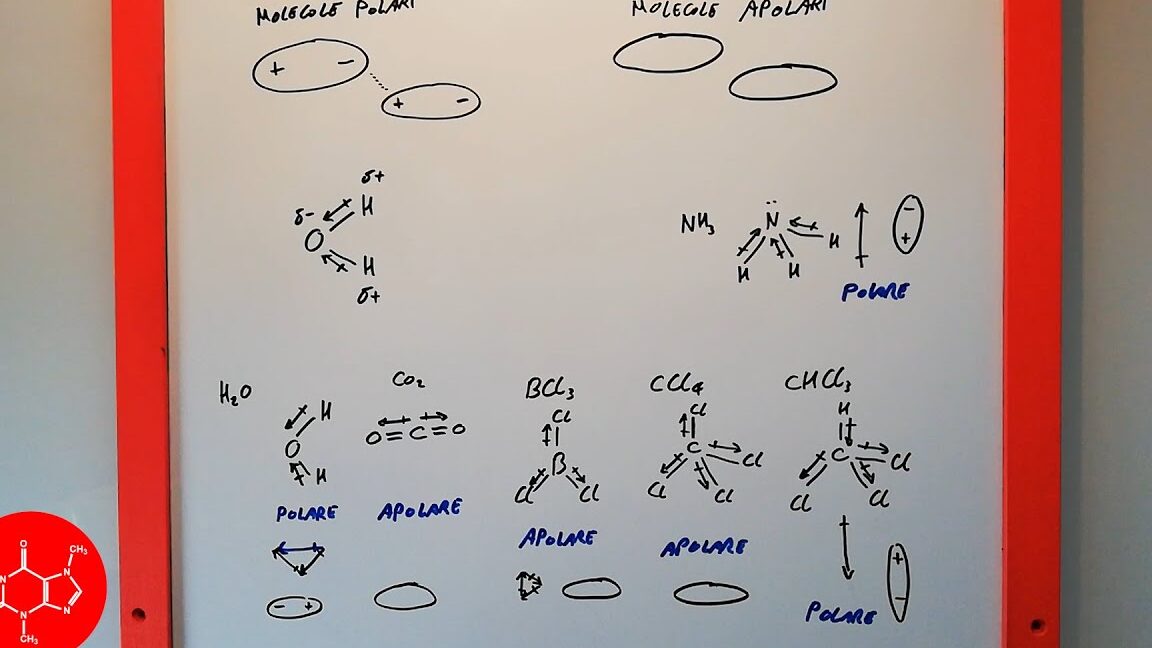 Esempi Di Molecole Polari: Scopri Le Loro Caratteristiche E Applicazioni